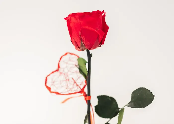 Inazio Deuna - Baskeyrentals